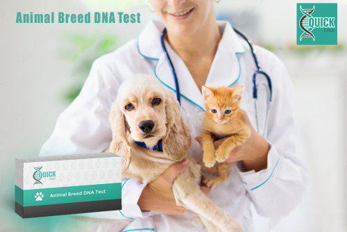 Welche Kriterien sollten bei der Auswahl eines DNA-Tests in der Tiergenetik berücksichtigt werden?