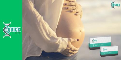 Kann während der Schwangerschaft ein pränataler Vaterschaftstest durchgeführt werden?